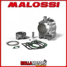 3113924 CILINDRO MALOSSI 270CC
