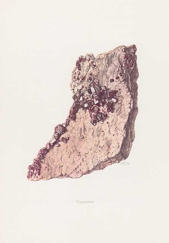 Vanadinit mibladen marocco - mibladen,