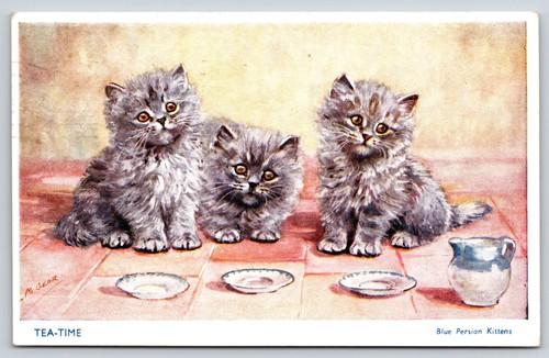 Mable gear cat tea time - mable, cat~tea