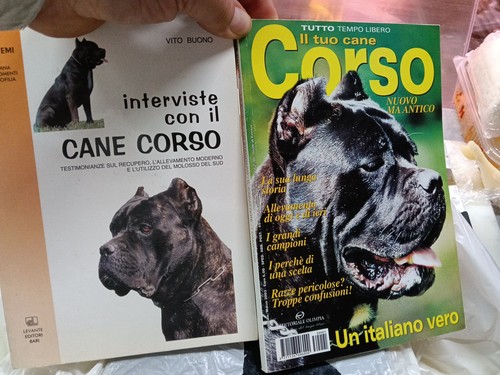 Intirviste con cane corso - con, il