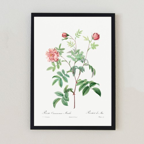 Illustrazione floreale vintage