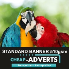 BANNER VINILE PVC FREE DESIGN