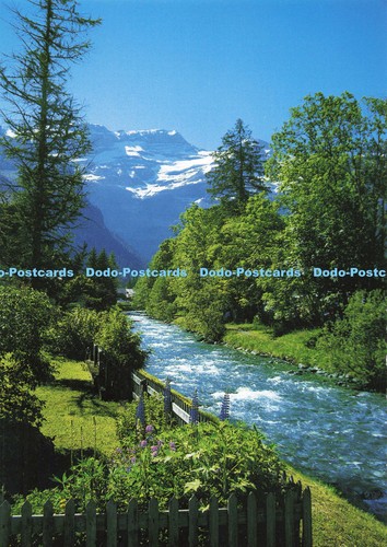 D138091 perle des alpes - d138091,
