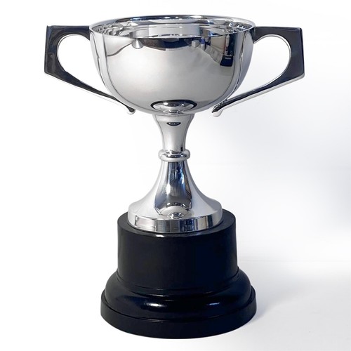 Coppa trofeo argento cm - trofeo, 18