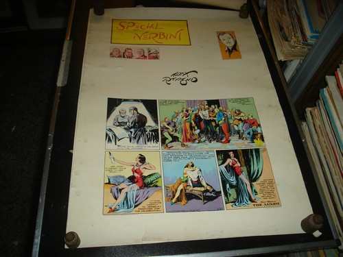 Poster special nerbin - nerbin,
