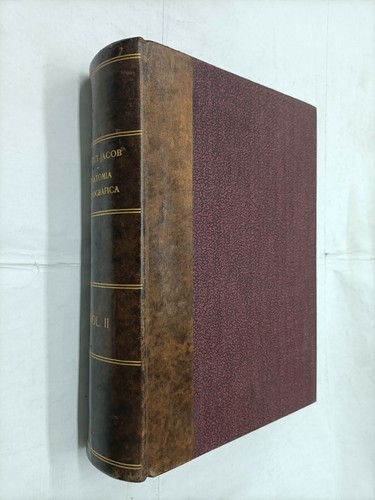 Anatomia topografica volume - anatomia,