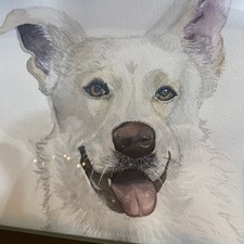 Quadro acquerello originale