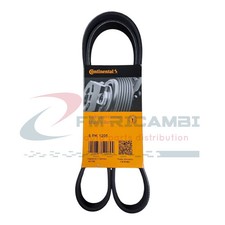 6PK1205 CONTITECH CINGHIA