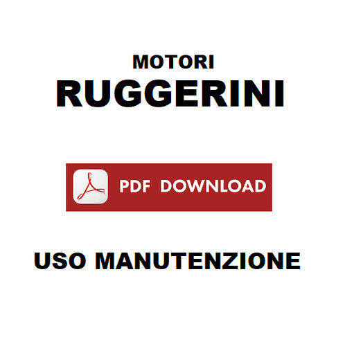 Motore ruggerini rd100 - motore,