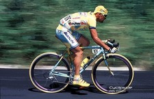 Maglia ciclismo autografata