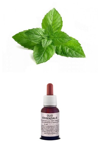 Olio essenziale 100 - olio,