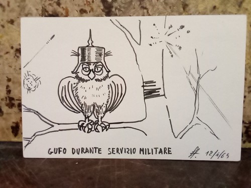 Disegno gufo durante servizio - disegno,