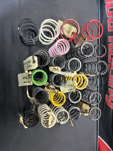 Skidoo primary springs and - primary,