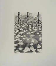 M.C. ESCHER: Autunno E Carpa