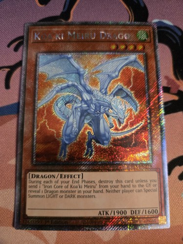 Koa meiru drago - meiru, (platinum