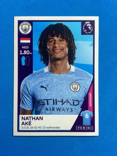 Panini sticker premier - panini, league