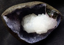 ARCHI DI STERELITE IN CAMPIONI