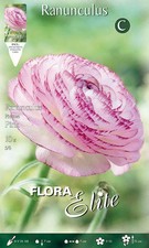 BULBI AUTUNNALI RANUNCULUS