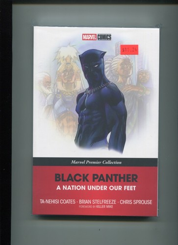 Nuovo black panther - a, nation