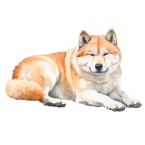 Adesivi akita inu - 2,