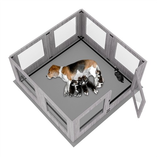 Scatola portapenne per cani - , in