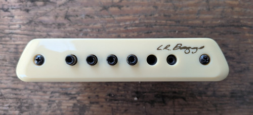 Baggs passive soundhole - m1,