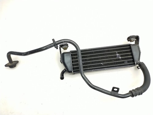 Radiatore olio motore - motore, engine