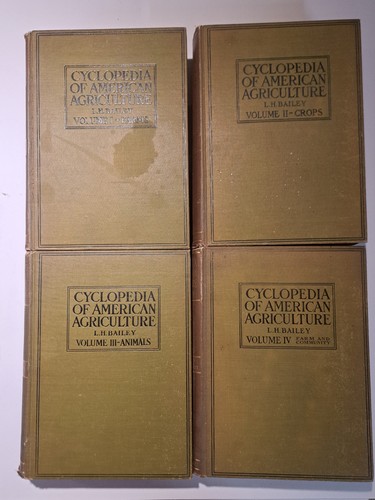 Cyclopedia american - of,