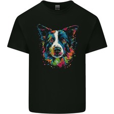 Un Colorato Border Collie Cane