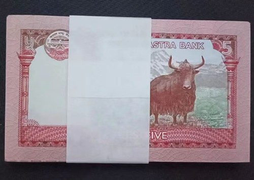 Nepal rupees 100 pcs p - 100,