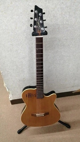 Godin natural chitarra - natural, sg