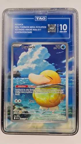 Tag psyduck 226 - 10, me