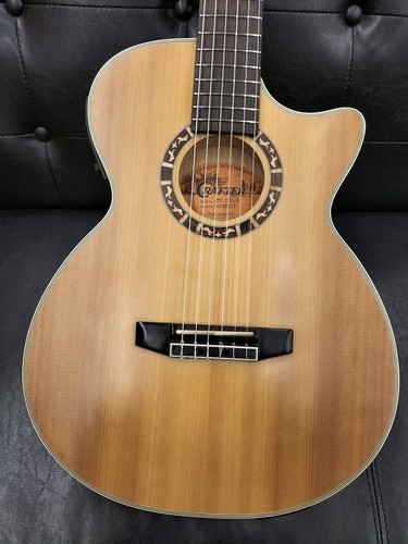 Chitarra acustica elettrica