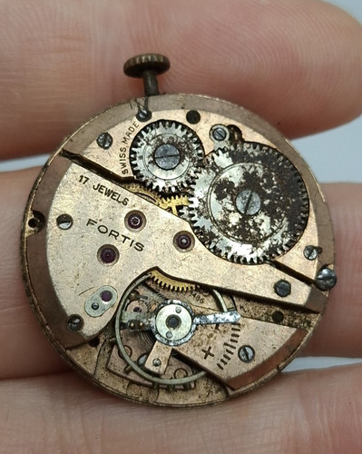 Fortis 1486 amovimento - as,