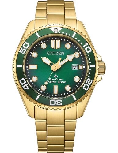 Citizen bn0262 59w - bn0262-59w, orologi