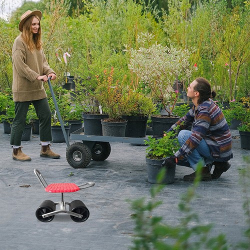 Move the wheels sedia - wheels,