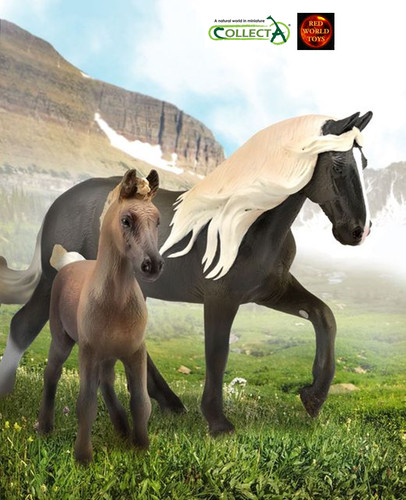 Rocky mountain chocolate - mountain,