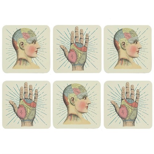Teremity jones frenologia - teremity, e