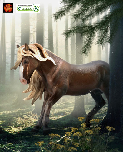 Black forest stallion horse - forest,