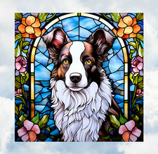 Border Collie cane finto vetro