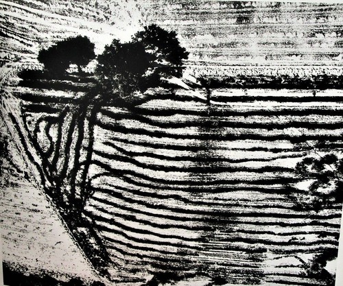 Mario giacomelli antonio - mario, &