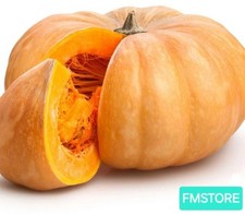 Semi zucca siciliana dolce - semi,