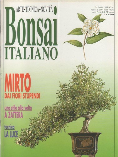 Bonsai italiano 31 - n.,