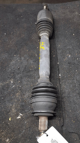 A1693607572 semialbero ant - semialbero,