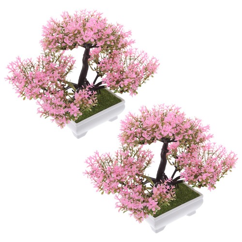 Pcs pianta accogliente - pcs,
