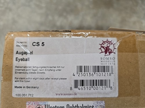 Somso modello bulbo - cs-5,