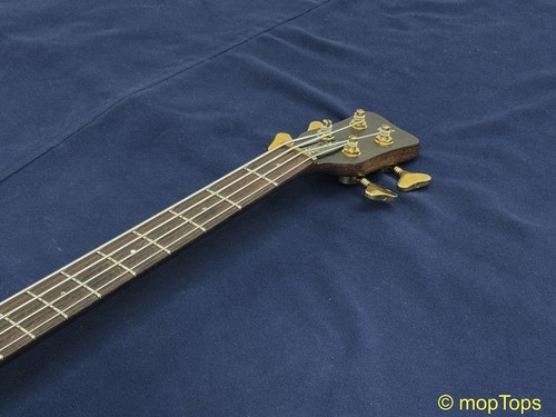 Warwick streamer stage 1987 - warwick,