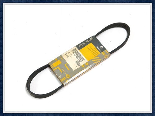 Cinghia poly trasmissione - poly-v,