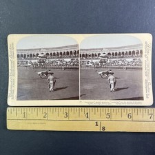Bull Fight Fighters in Seville