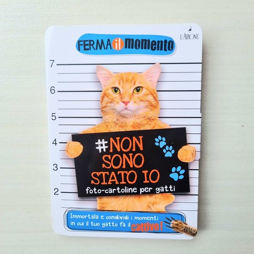 Non sono stato foto - sono, io